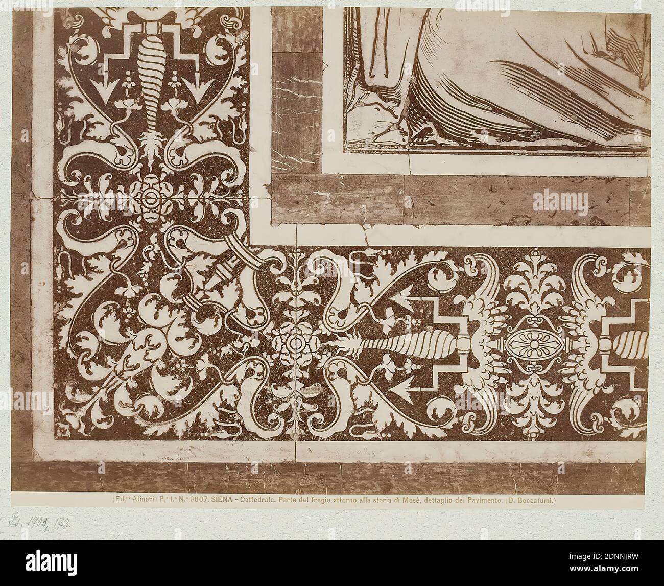 Domenico Beccafumi, Teil des Frieses um die Darstellung der Geschichte des Mose, Detail des Bodens in der Kathedrale von Siena, Albumin Papier, schwarz-weiß positive Prozess, Bildgröße: Höhe: 19,70 cm; Breite: 25,10 cm, SIENA - Cattedrale. Parte del fregio attorno alla storia di Mosè, dettaglio del Pavimento. (D. Beccafumi.), Fotografie, Ornamente, Boden (Architektur), Kunst Stockfoto