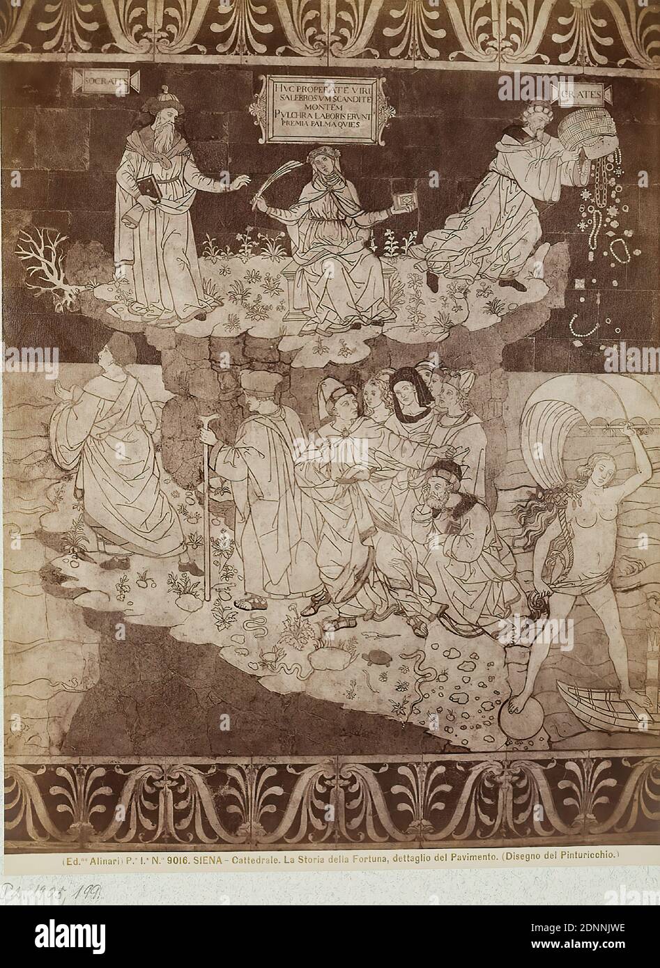 Design by Pinturicchio, Geschichte von Fortuna, Detail des Bodens in der Kathedrale von Siena, Albumin Papier, schwarz-weiß-positive Prozess, Bildgröße: Höhe: 19,50 cm; Breite: 25,00 cm 9016. SIENA - Cattedrale. La Storia della Fortuna, dettaglio del Pavimento. (Disegno del Pinturicchio.) Verso Stamp: MUSEUM F. ART & CRAFT Hamburg, Fortuna, Art Stockfoto
