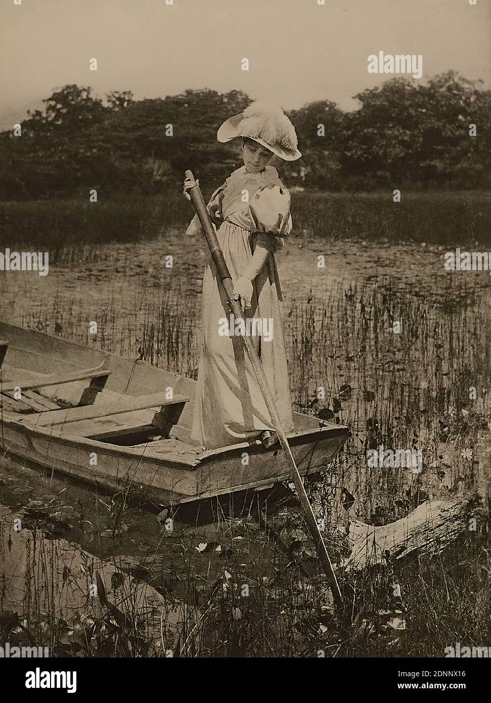 Rudolf Eickemeyer, auf dem Wasserliliteich im Boot, Papier, Heliotief, Bildgröße: Höhe: 14.7 cm; Breite: 11.2 cm, beschriftet: recto u. r. auf Karton: In weiß: R. Eickemeyer, jr. Yonkers, 1893 Bedent. d. Ein. Ph. 94, Landschaftsfotografie, künstlerische Fotografie, Landschaften (gemäßigte Zone), Teich, Teich, Lilie, erschienen in der Zeitschrift Photographische Rundschau, 1894 Stockfoto