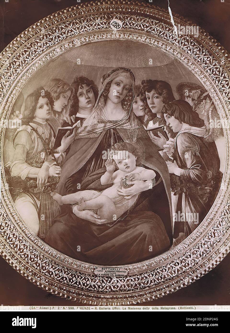 Sandro Botticelli: Madonna della Melagrana. Szene: Maria mit dem Jesuskind und sechs Engeln. Galleria degli Uffizien, Florenz, Albumin-Papier, schwarz-weiß-positiv, Bildgröße: Höhe: 25.60 cm; Breite: 19.20 cm, FIRENZE - R. Galleria Uffizien. La Madonna detta della Melagrana. (Botticelli). Rückseitig runder Stempel, Maria mit Christkind (Madonna), Gemälde Stockfoto