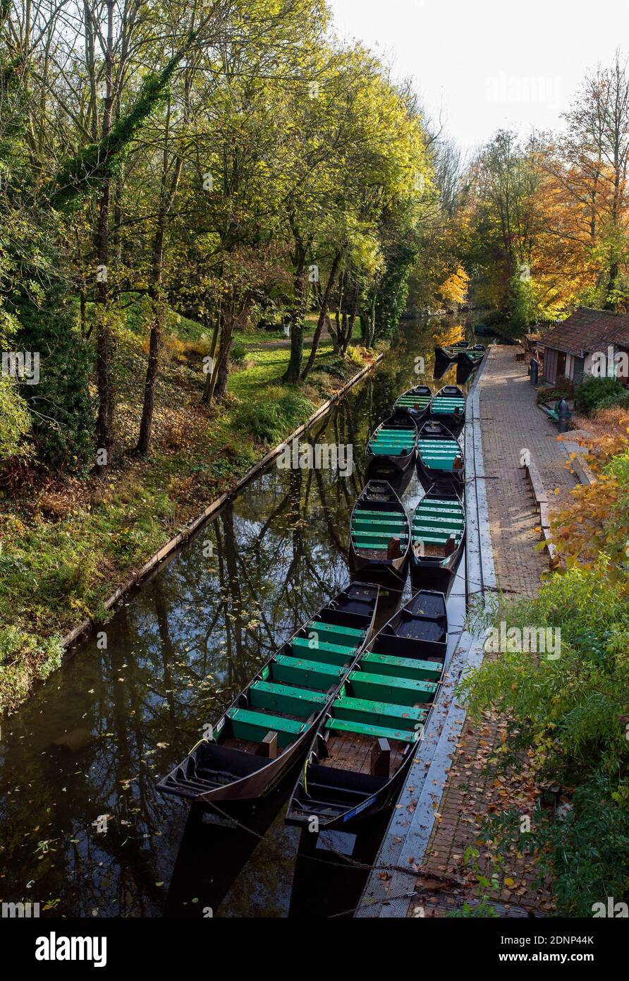 Amiens (Nordfrankreich): Die schwimmenden Gärten (französische Hortillonnages) im Herbst Stockfoto