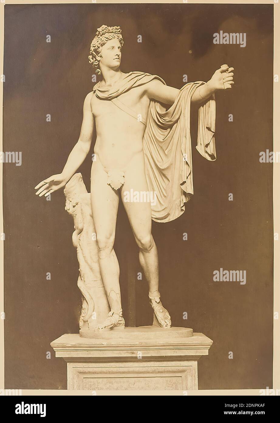 Apollo von Belvedere, Vatikanische Museen, Sammlungen klassischer Altertümer, Rom, Albumin-Papier, schwarz-weiß-positiv, Bildgröße: Höhe: 40.50 cm; Breite: 28.60 cm, Geschichte des Apollon (Phoebus), Skulptur, Plastik, Bildhauerkunst Stockfoto