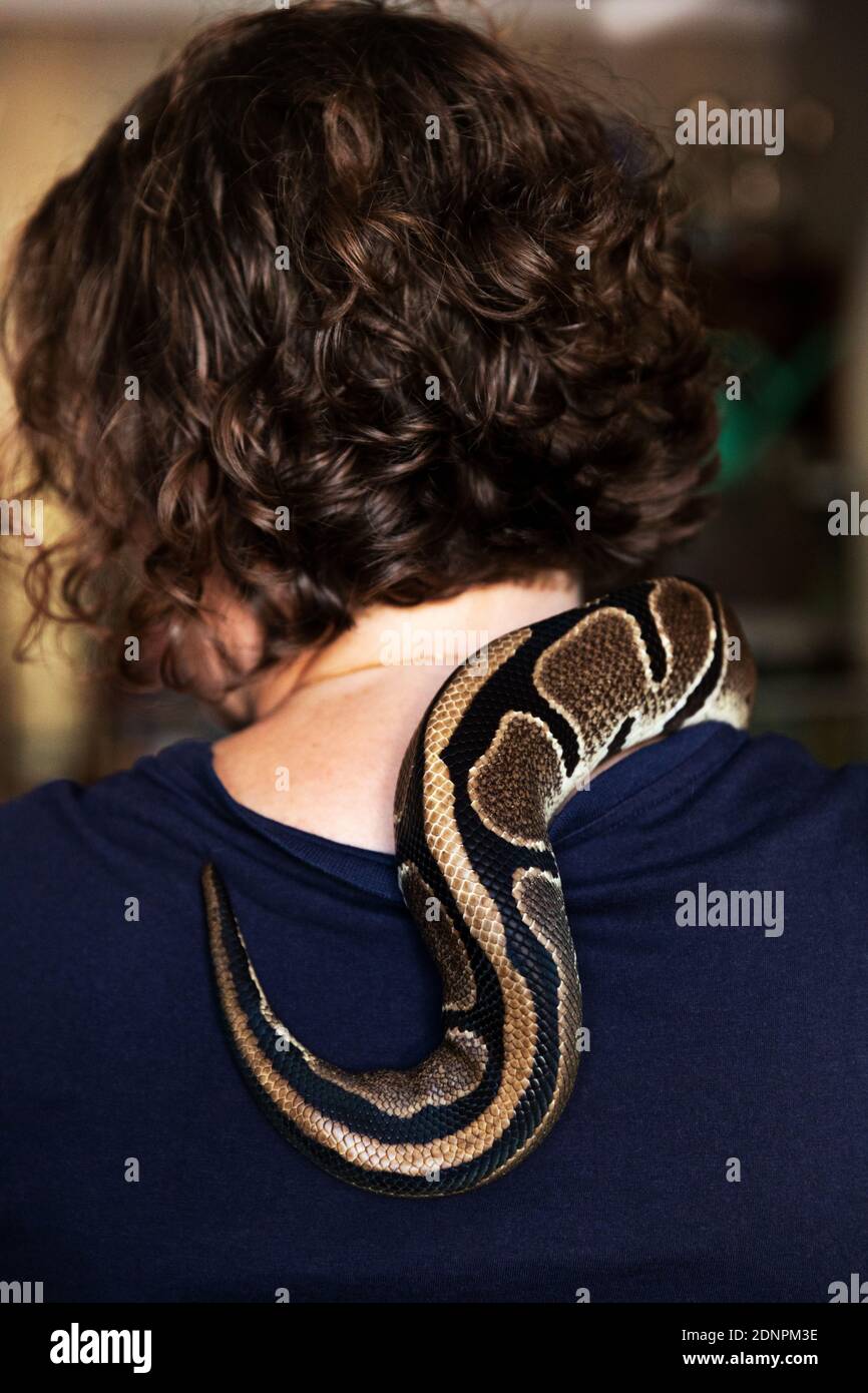 Hinterer schlangenkopf Fotos und Bildmaterial in hoher Auflösung Alamy