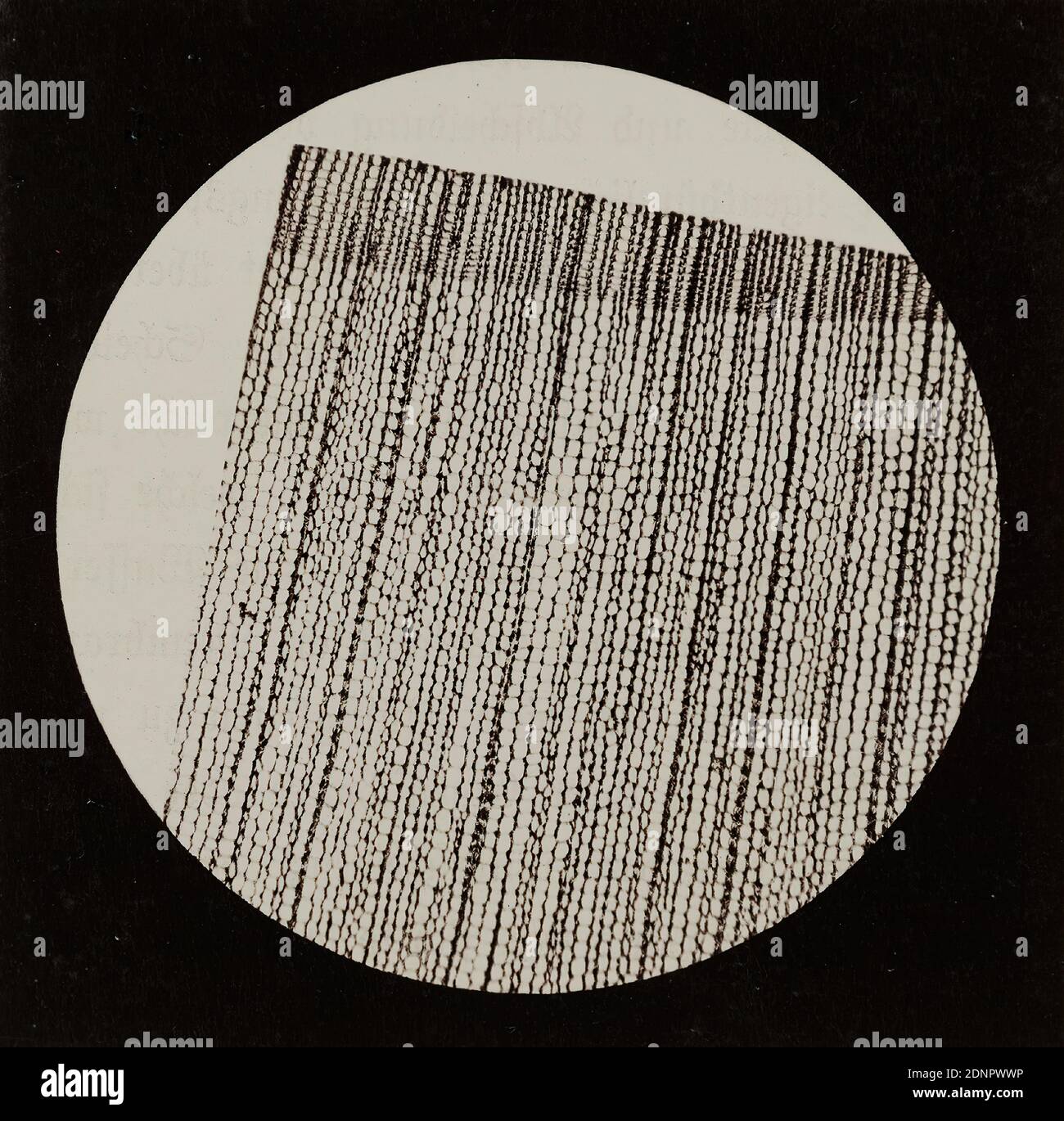 Julius Stinde, Fichtenholz (Querschnitt), Albumin-Papier, schwarz-weiß-positiv, Bildgröße: Höhe: 8.20 cm; Breite: 8.20 cm, beschriftet: recto u. Mitte auf dem Karton: Typendruck: FICHTENHOLZ, (QUERSCHTT). Die Fotografie entstand für Stinde zwischen 1868 und 1870 in mehreren Teillieferungen des Buches Blicke durch das Mikroskop, produziert vom Verlag J. F. Richter Stockfoto