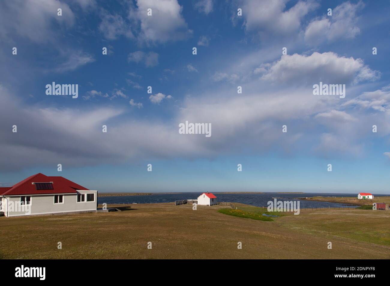 Bleaker Island Settlement, Falkland, Januar 2018 Stockfoto