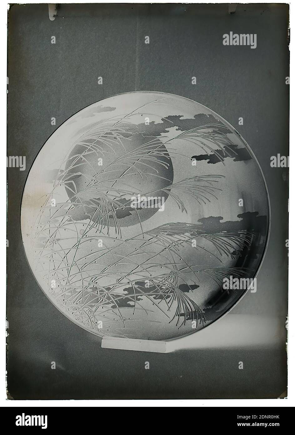 Wilhelm Weimar, Platte, Glasnegativ, schwarz-weiß Negativ-Verfahren, Gesamt: Höhe: 17.8 cm; Breite: 12.8 cm, Werk der angewandten Kunst (Lack), Platte, Platte, Mond, Pflanzen, Vegetation Stockfoto