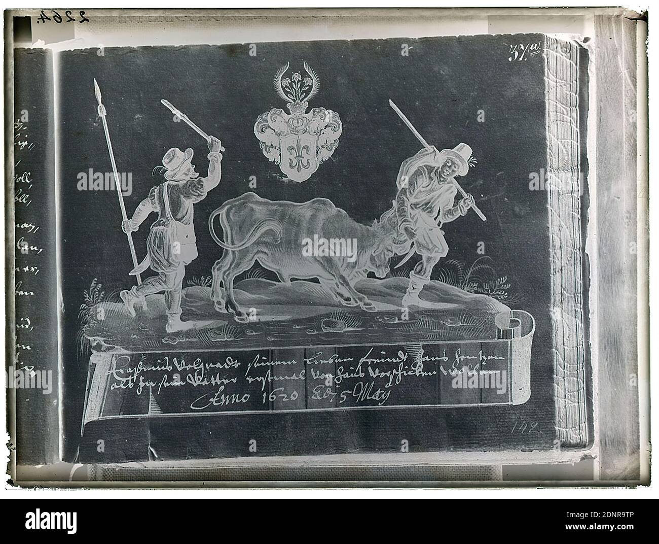 Wilhelm Weimar, Graphik aus dem Stammbaumbuch von Hans Heintze, Glasnegativ, schwarz-weiß Negativ-Verfahren, gesamt: Höhe: 23.8 cm; Breite: 17.8 cm, nummeriert: Oben links: In schwarzer Tinte: 2264. Graphik, Vieh, Viehzucht, Speer, Buch Stockfoto