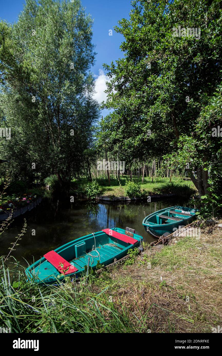 Amiens (Nordfrankreich): Die schwimmenden Gärten (französische "Hortillonnages"), die in Ziergärten umgewandelt wurden Stockfoto