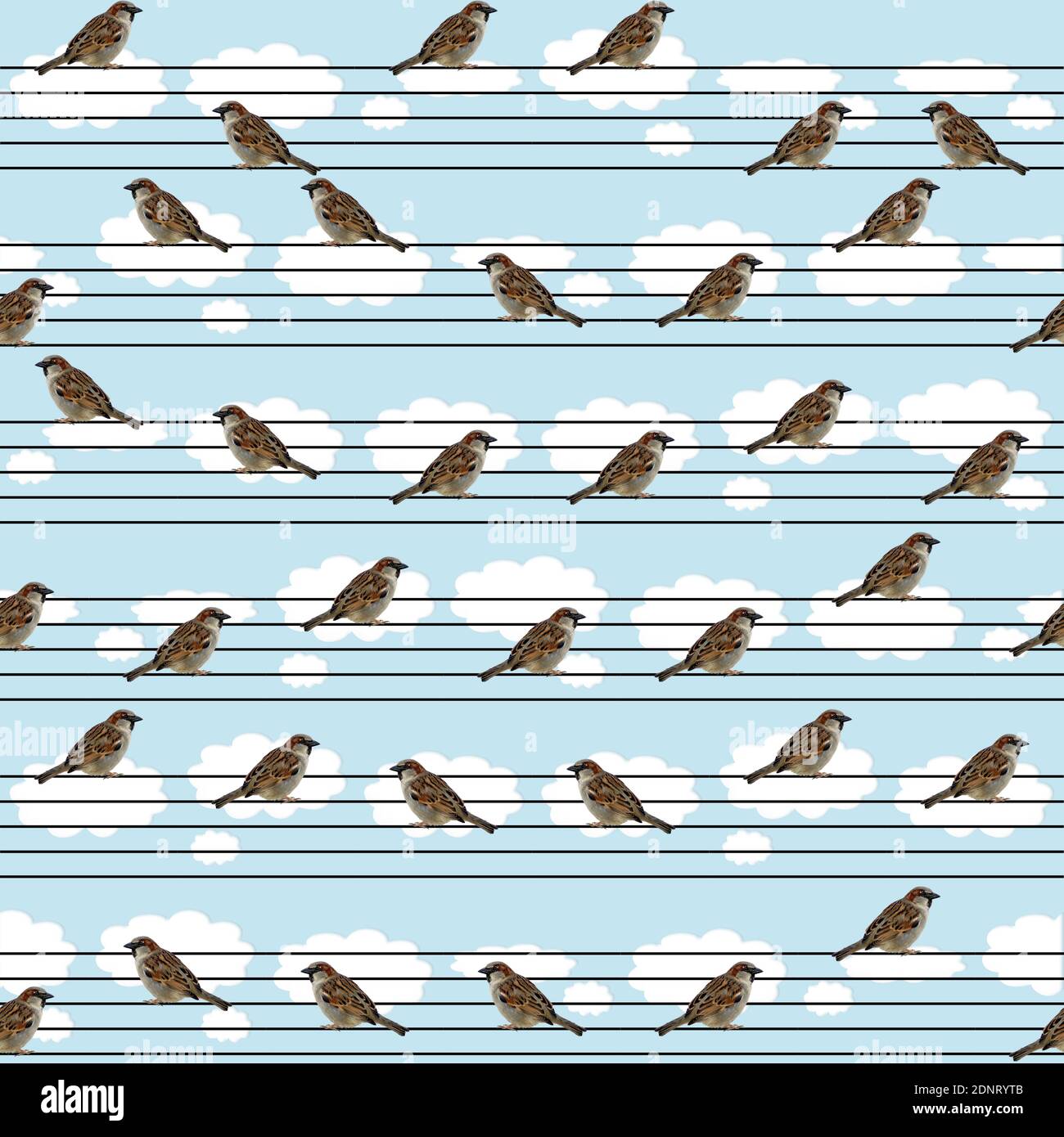 Musikbezogenes Muster, mit sitzenden Sperlingen, die musikalische Notation imitieren, auf einem hellblauen Hintergrund. Muster für digitale Kunst mit gemischten Medien. Stockfoto