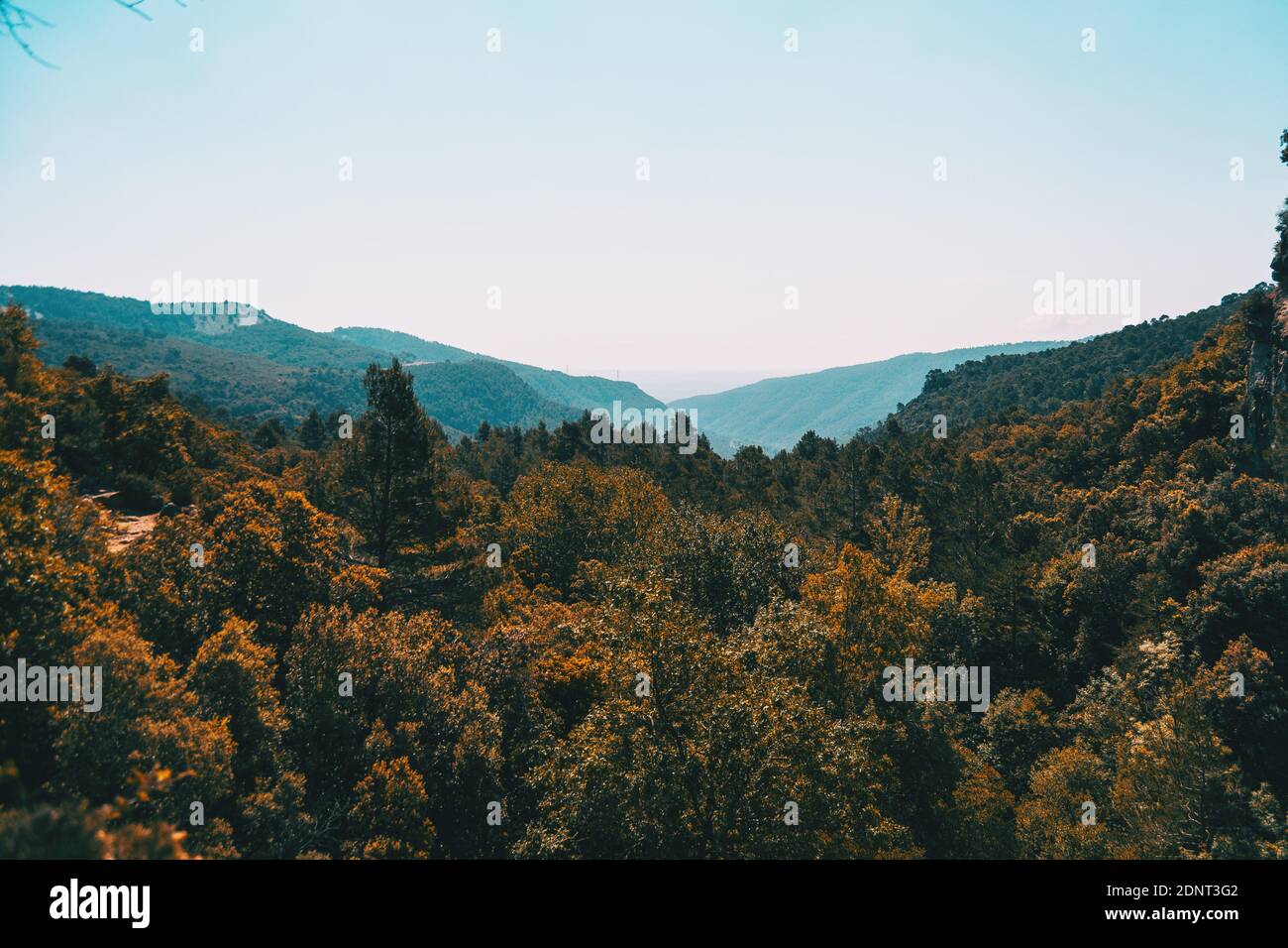 Landschaft der Prades Berge, in Tarragona, Spanien. Ein sonniger Sommertag mit grünen Bäumen Stockfoto