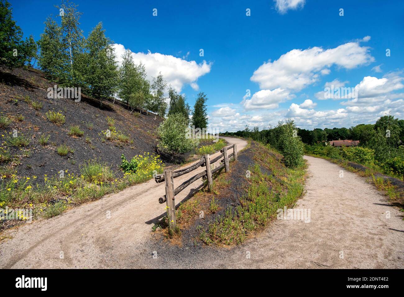 Libercourt (Nordfrankreich): Überblick über den Abfallhaufen „Terril 115“. Diese Bergbauregion Nord-Pas-de-Calais ist als UNESCO World Herita registriert Stockfoto