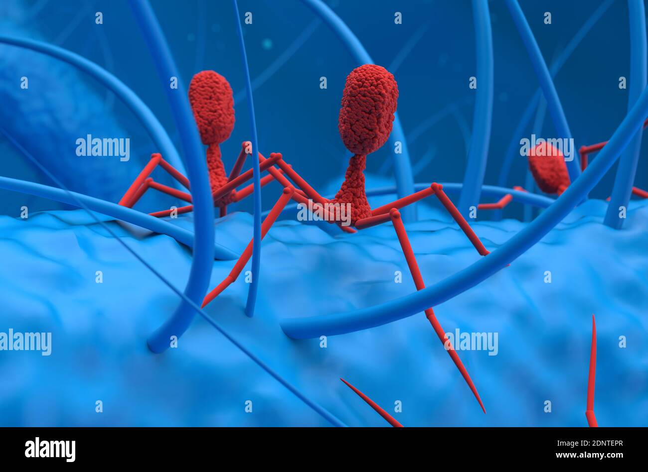 Bakteriophagen Viren greifen Bakterien an 3d Rendering Illustration Stockfoto