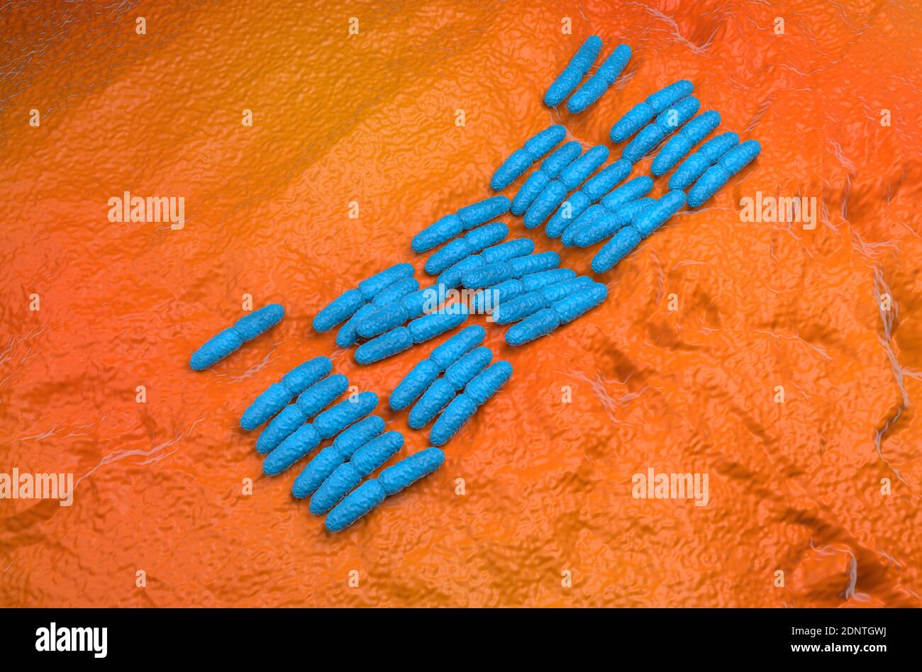 Pseudomonas aeruginosa Bakterien 3d Rendering Illustration