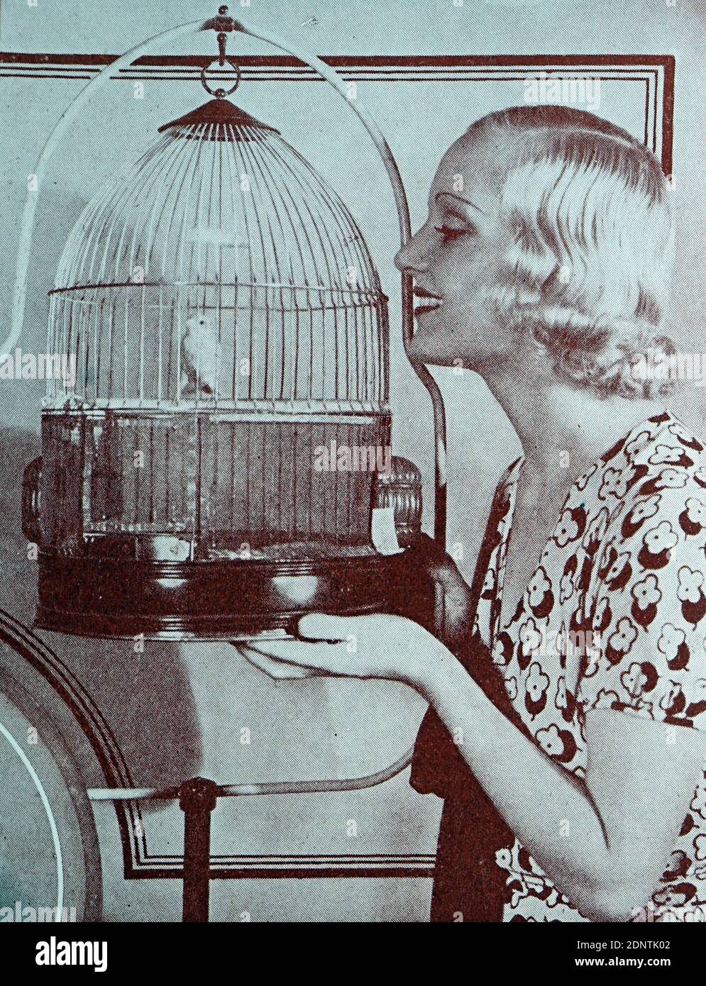 Foto von Mae Clarke (1910-1992) einer amerikanischen Schauspielerin. Stockfoto