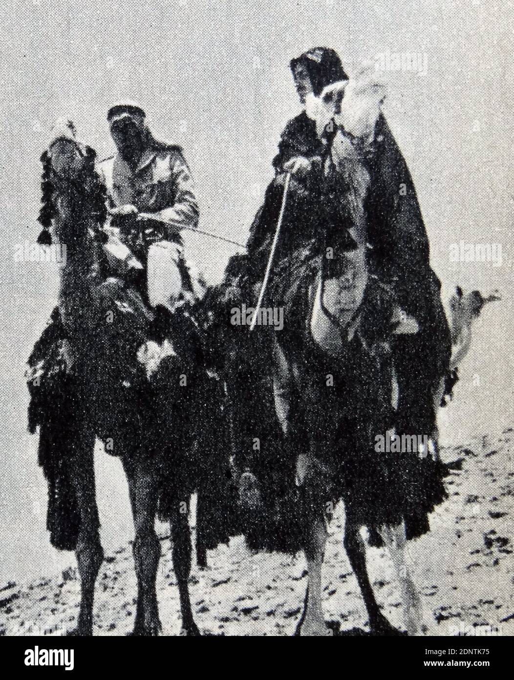 Filmstill von Peter O'Toole (1932-2013) und Alec Guinness (1914-2000) aus 'Lawrence von Arabien'. Stockfoto