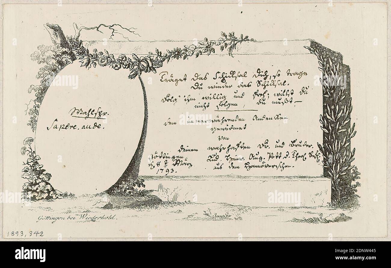 Wiederhold, Blatt aus einer Serie von Kartuschen, Rahmen und Landschaften für Familienbücher, Papier, Radierung, Bogenformat: Höhe: 11,30 cm; Breite: 17,80 cm, signiert: In Platte: Göttingen bei Wiederhold, beschriftet: Handschriftlich in Tusche Widmungstext vom März 1793, Drucke, Drucksachen, Pflanzenornamente Stockfoto