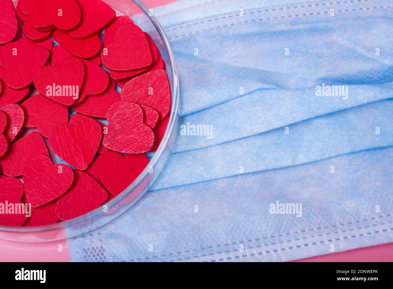 Herz in einer Petrischale auf einem rosa Hintergrund. Das Konzept von Liebe und Glück am Valentinstag. Stockfoto