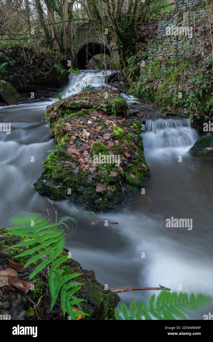 Bach, der durch eine Bogenbrücke im unteren Wye Tal fließt. Stockfoto