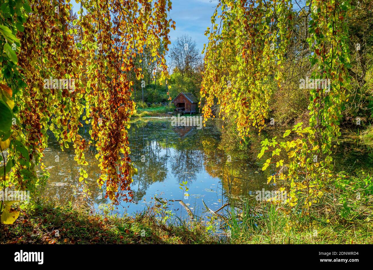 Teich mit Bootshaus in Schacky Park, Diessen am Ammersee, Bayern