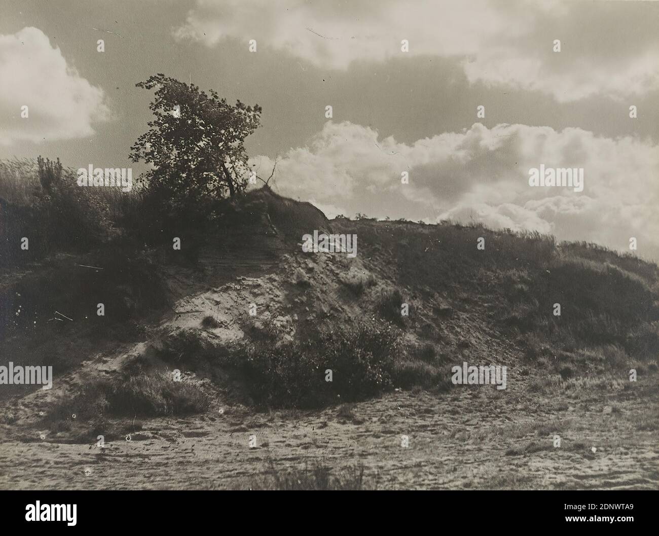 Heinrich von Seggern, Landschaftsfotografie, Staatliche Landesbildstelle Hamburg, Sammlung zur Geschichte der Fotografie, Silbergelatinepapier, schwarz-weiß-positiv, Bildgröße: Höhe: 17.8 cm; Breite: 24 cm, unmarkiert, Stempel: verso auf Karton: Landschaftsfotografie, Landschaften (gemäßigte Zone), Bäume, Sträucher, Wolken Stockfoto