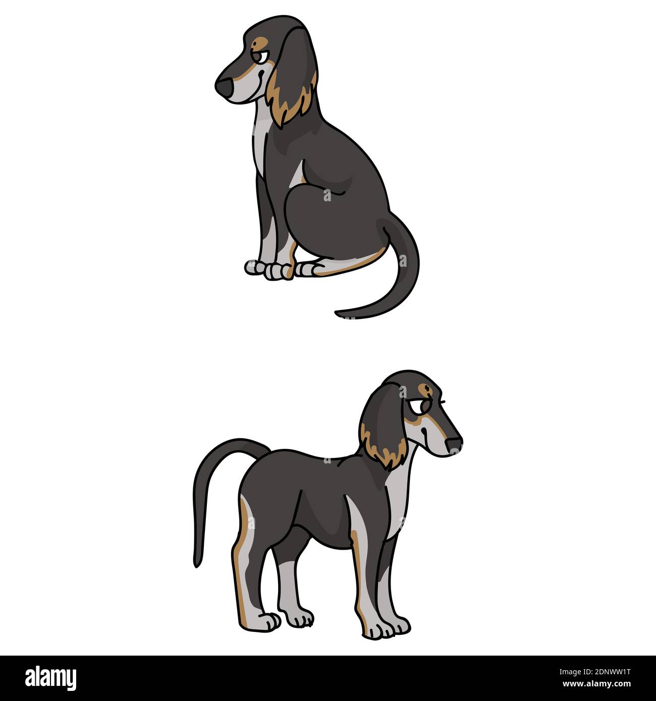 Cute Cartoon Saluki Welpen Vektor Cliparts. Pedigree Barzoi Hund für Zwinger Club. Reinrassige häusliche Windhund Hund Training für Haustier Salon Illustration Stock Vektor