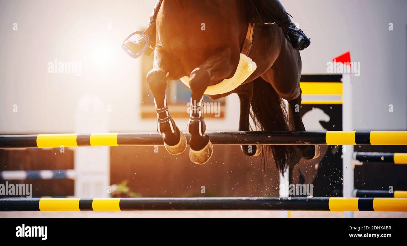 Die Hufe eines schnellen Lorbeerpferdes mit einem Reiter im Sattel, der über eine hohe schwarz-gelbe Barriere springt, beleuchtet von Sonnenlicht. Pferdesport Stockfoto
