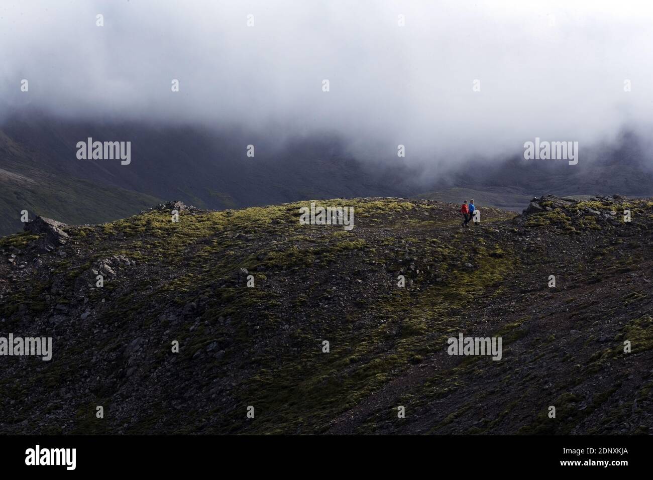 Malerischer Wanderweg durch die zerklüftete Landschaft von Ost-Island in der Nähe von Husey, mit Panoramablick auf Fjorde, Berge und unberührte Wildnis. Stockfoto