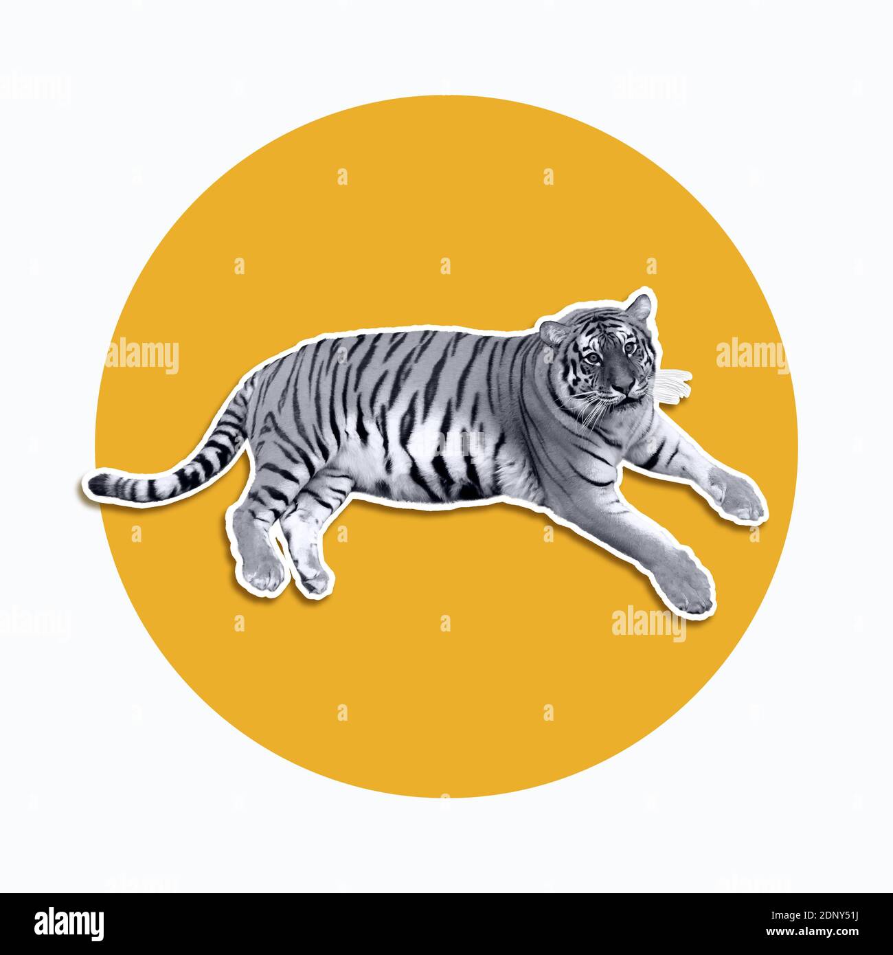 Tiger liegt auf dem gelben Kreis mit weißem Hintergrund. Digitales gezeichnetes Wildtier. Rastermaterial-Abbildung Stockfoto