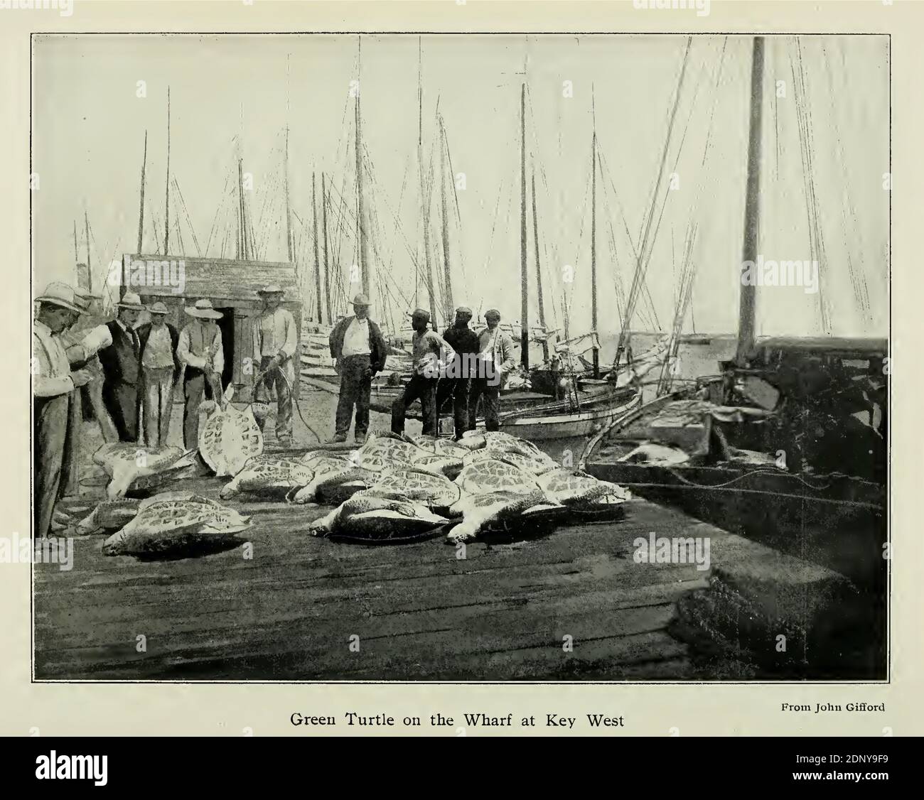 Key West 1906 Stockfoto