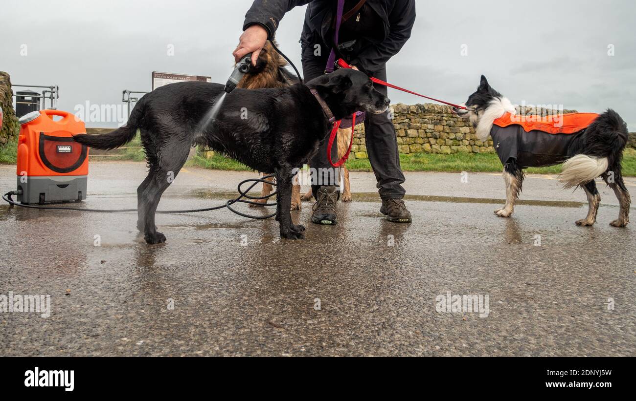 Hundespaziergang mit einem Sealey 17L 12V wiederaufladbaren Druckwascher, um Hunde nach einem schlammigen Spaziergang auf einem Parkplatz zu reinigen, Großbritannien Stockfoto