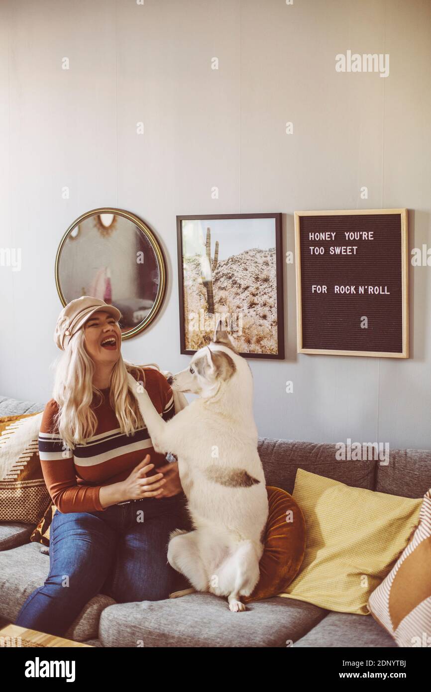 Frau spielt mit Hund auf dem Sofa Stockfoto