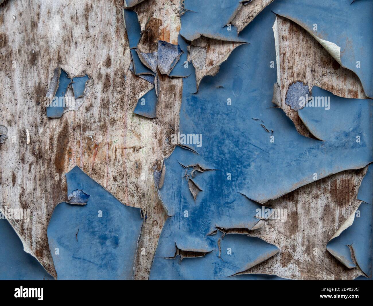 Alte blaue Farbe blättert von Holzhintergrund, tolle Textur. Stockfoto