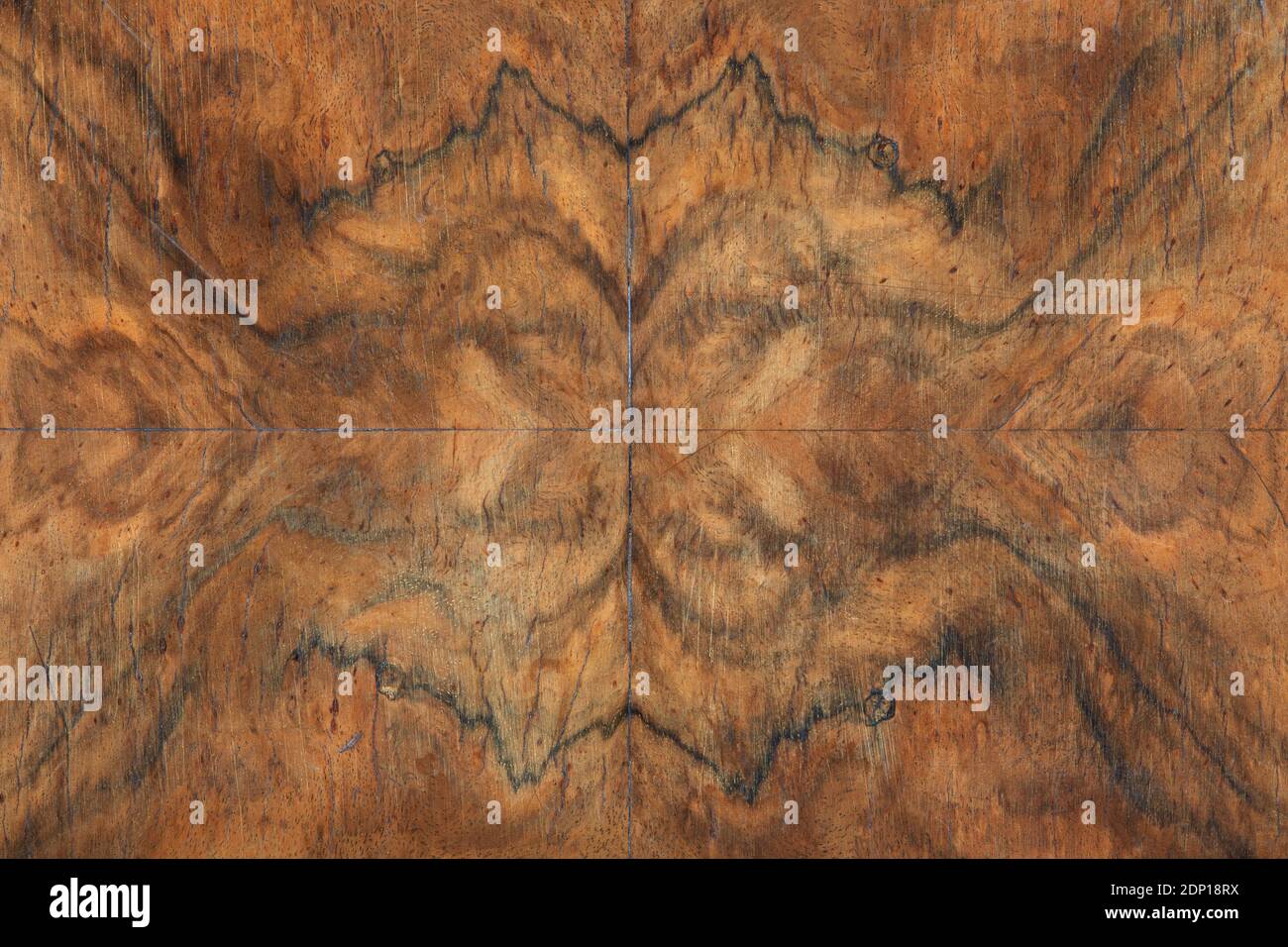 Briar Holz Detail Textur Hintergrund, Symmetrie Stockfoto