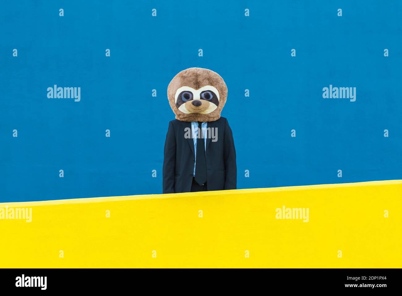 Porträt eines Geschäftsmannes mit Erdmännchen Maske hinter gelber Wand Vor blauem Hintergrund Stockfoto