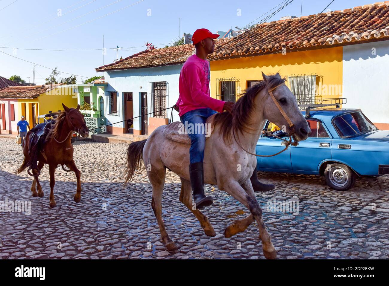 Mann mit Pferden, Trinidad, Kuba Stockfoto