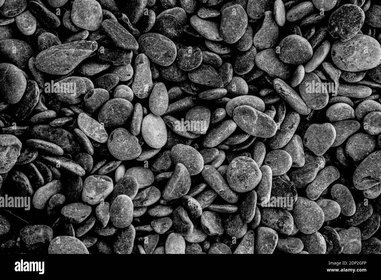 Kieselsteine am Strand in der Nähe von Brixham Devon UK GB Stockfoto
