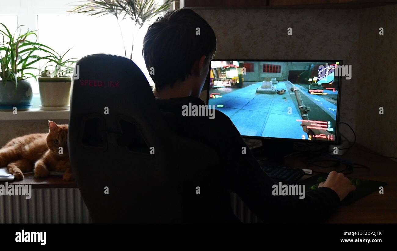 Backshot von Teenager-Gamer spielen in Ego-Shooter-Video Spiel Cyberpunk 2077 auf leistungsstarken Gaming-PC in seinem Zimmer Zu Hause mit Katze auf dem Tisch liegen Stockfoto