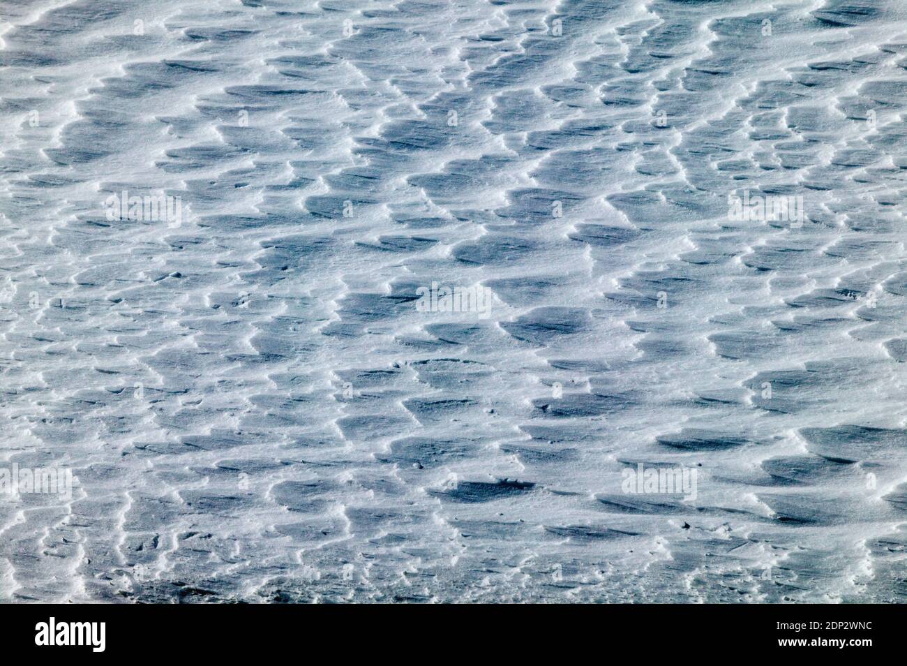 Nahaufnahme von Wind geformten Muster in frischen Schnee Stockfoto