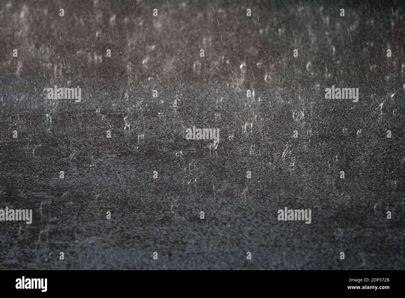 Starker Regen während eines Wolkenbruchs mit Regentropfen, die vom Wasser abprallen. Stockfoto