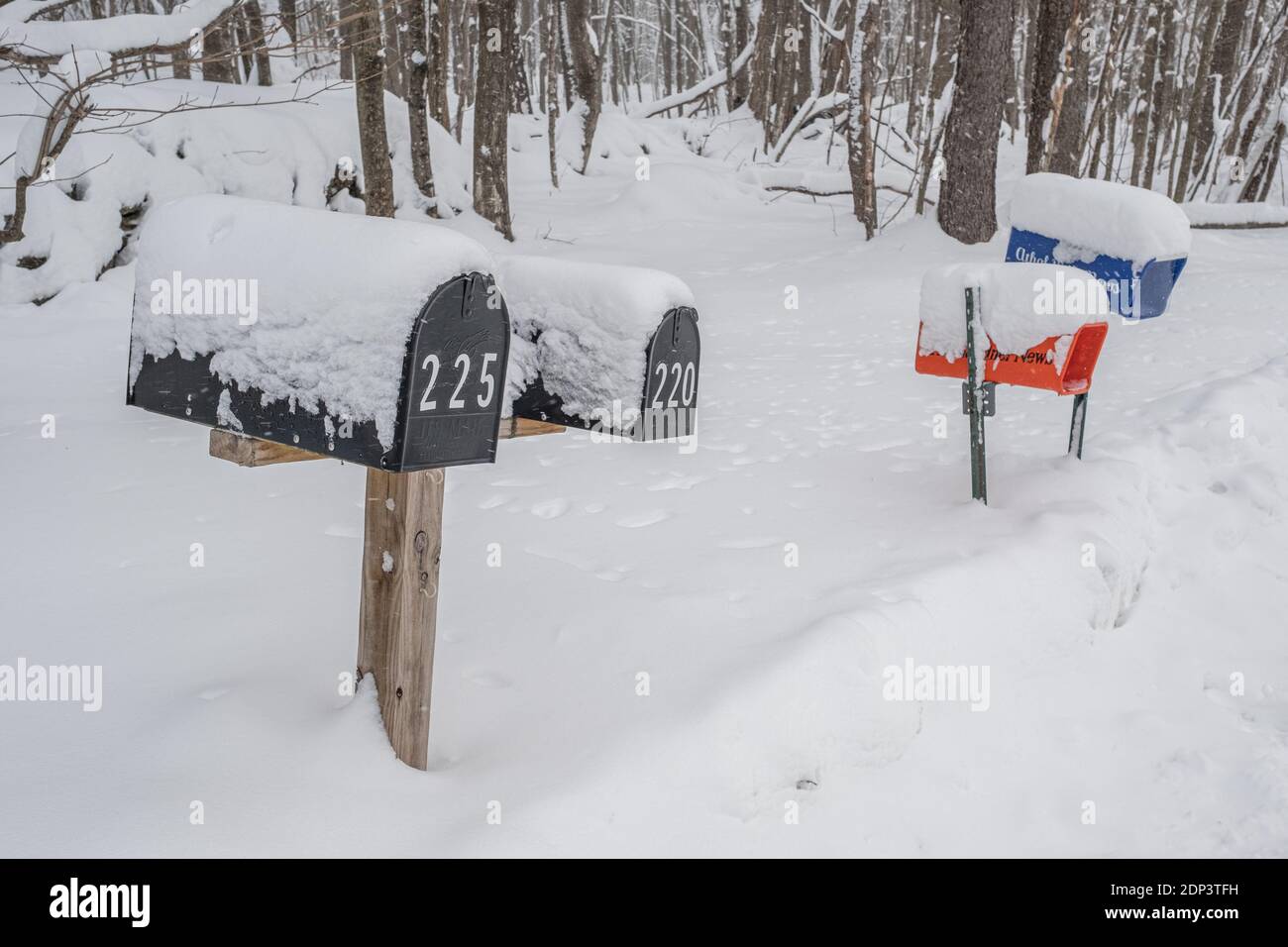 Briefkästen mit Schnee nach einem Schneesturm bedeckt Stockfoto