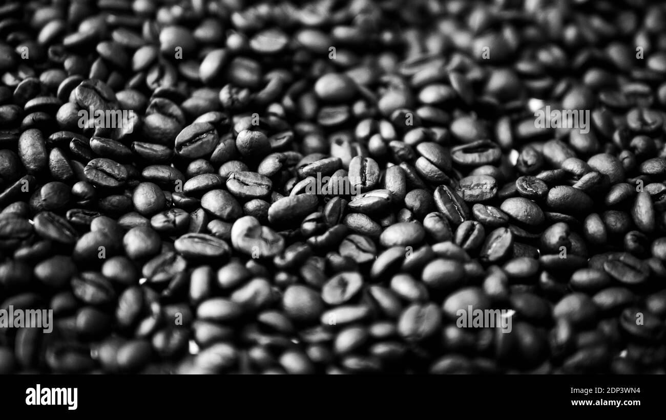 Duftende geröstete Kaffeebohnen. Kaffeekörner, Schwarz-Weiß-Bild, Textur von Kaffee, Nahaufnahme. Stockfoto