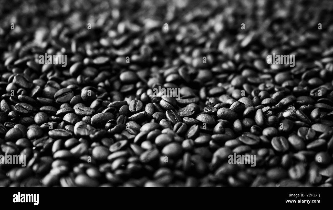 Duftende geröstete Kaffeebohnen. Kaffeebohnen in schwarz und weiß, Nahaufnahme, geröstete Kaffeebohnen. Stockfoto