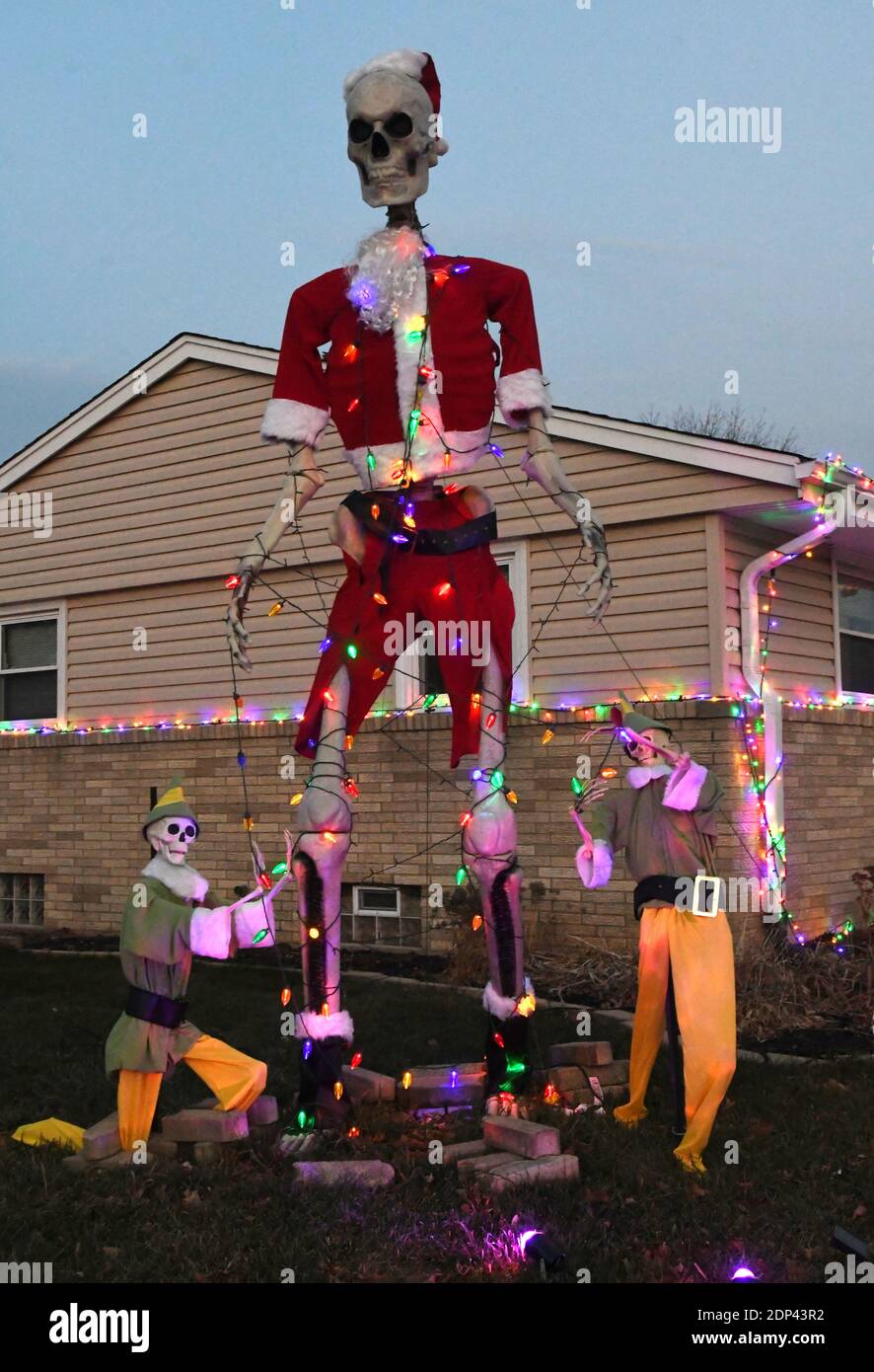 Racine, Wisconsin, USA. Dezember 2020. Ein 12Ã (3.66 Meter) hohes Skelett, gekleidet in ein Weihnachtsmann-Kostüm, befindet sich im Hof der Hazen Familie hone in Racine, Wisconsin Freitag, 18. Dezember 2020. Der Anzug, eine Größe 4XL, wurde online bestellt und erforderte einige Anpassungen. Das Skelett wurde ursprünglich für Halloween aufgerichtet und mit Spinnweben verziert. Die Elfen sind auch aus Skeletten gefertigt. (Bild: © Mark HertzbergZUMA Wire) Quelle: ZUMA Press, Inc./Alamy Live News Stockfoto