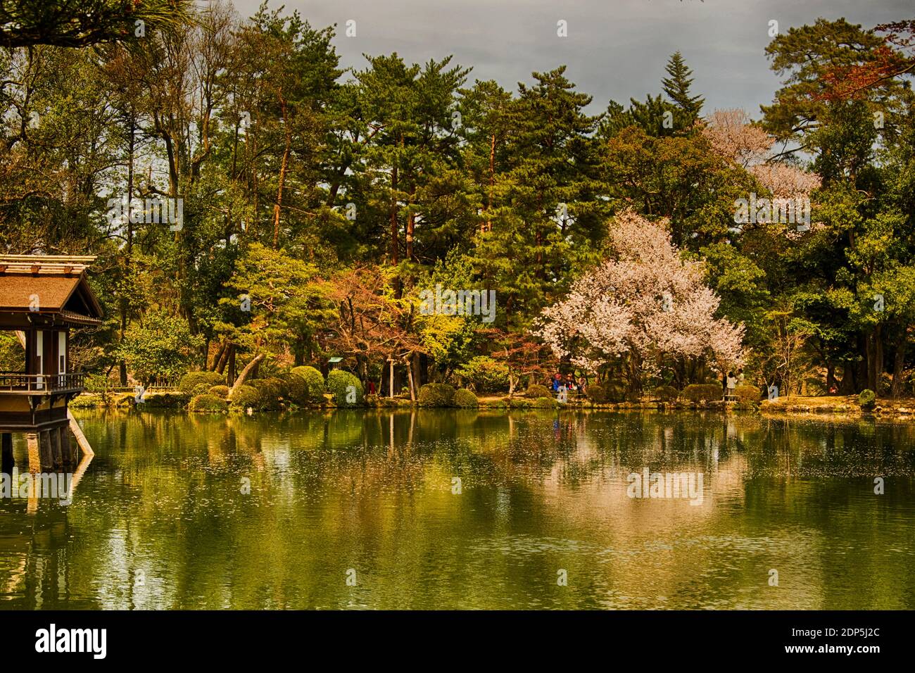 Asien, Japan, Präfektur Ishikawa, Kanazawa (金沢), Kenroku-en (兼六園, sechs Attribute) Garten, See mit Cherry Blossom Stockfoto