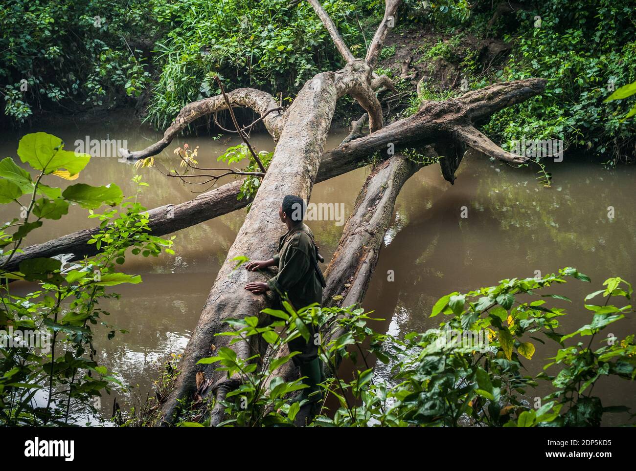 Queen Elisabeth National Park, Uganda - Juli 23 2011: Ranger auf der Suche nach Wildtieren im Dschungel Stockfoto