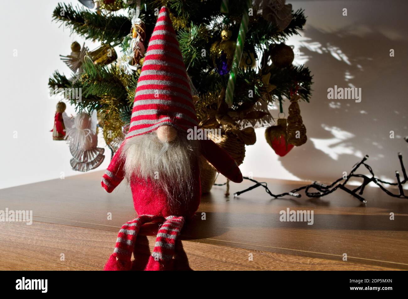 Zwerg sitzt unter weihnachtsbaum Stockfoto