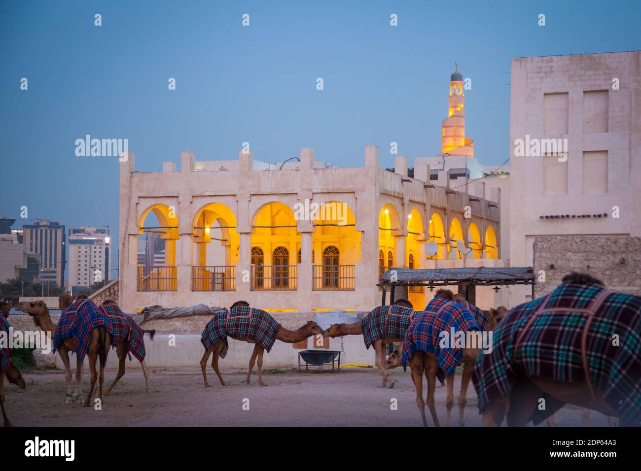 Camel Souk in Doha, Katar Stockfoto