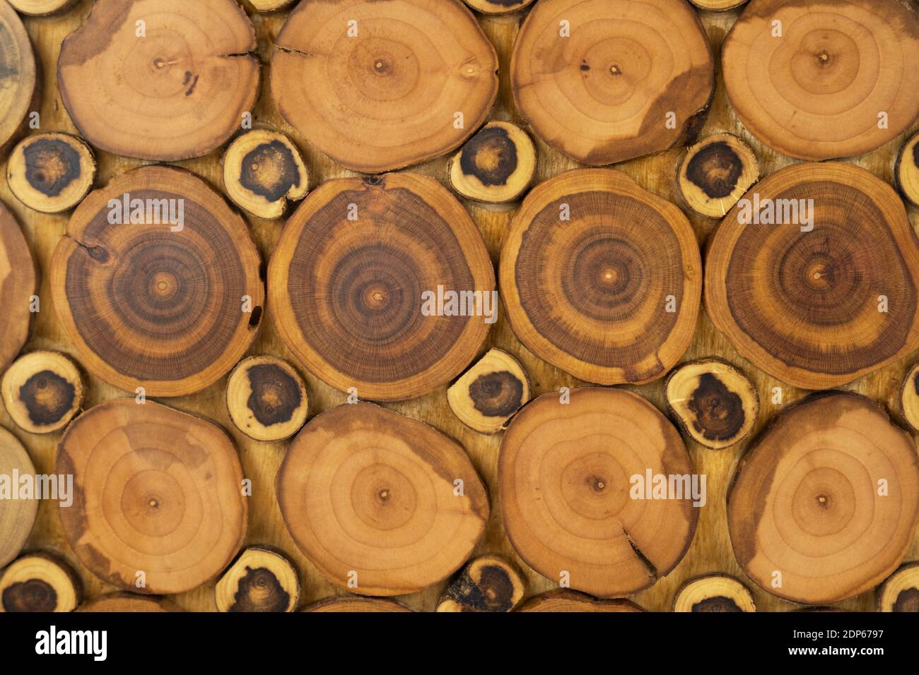 Holzplatte aus Schnitten aus einem Baumstamm. Draufsicht Stockfoto