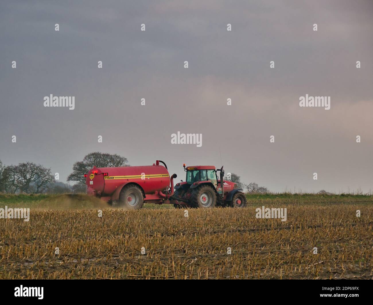 Ein Traktor zieht einen roten Tankwagen, der Gülle (Flüssigdünger) über ein geschnittenes Feld von Stoppeln sprüht. Aufgenommen in Cheshire, Großbritannien am Ende eines nebligen Tages Stockfoto