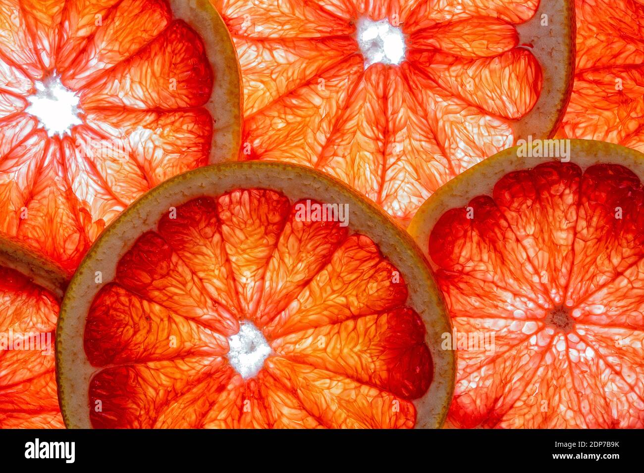 Rosa Grapefruitscheiben isoliert auf weißem Hintergrund mit Draufsicht und Struktur. Gesundes veganes Essen. Stockfoto
